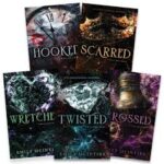 Emily McIntire Never After Series Collection 5 Books Set (Hooked, Scarred, Wretched, Twisted , Crossed )
