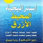استراتيجية المحيط الأزرق