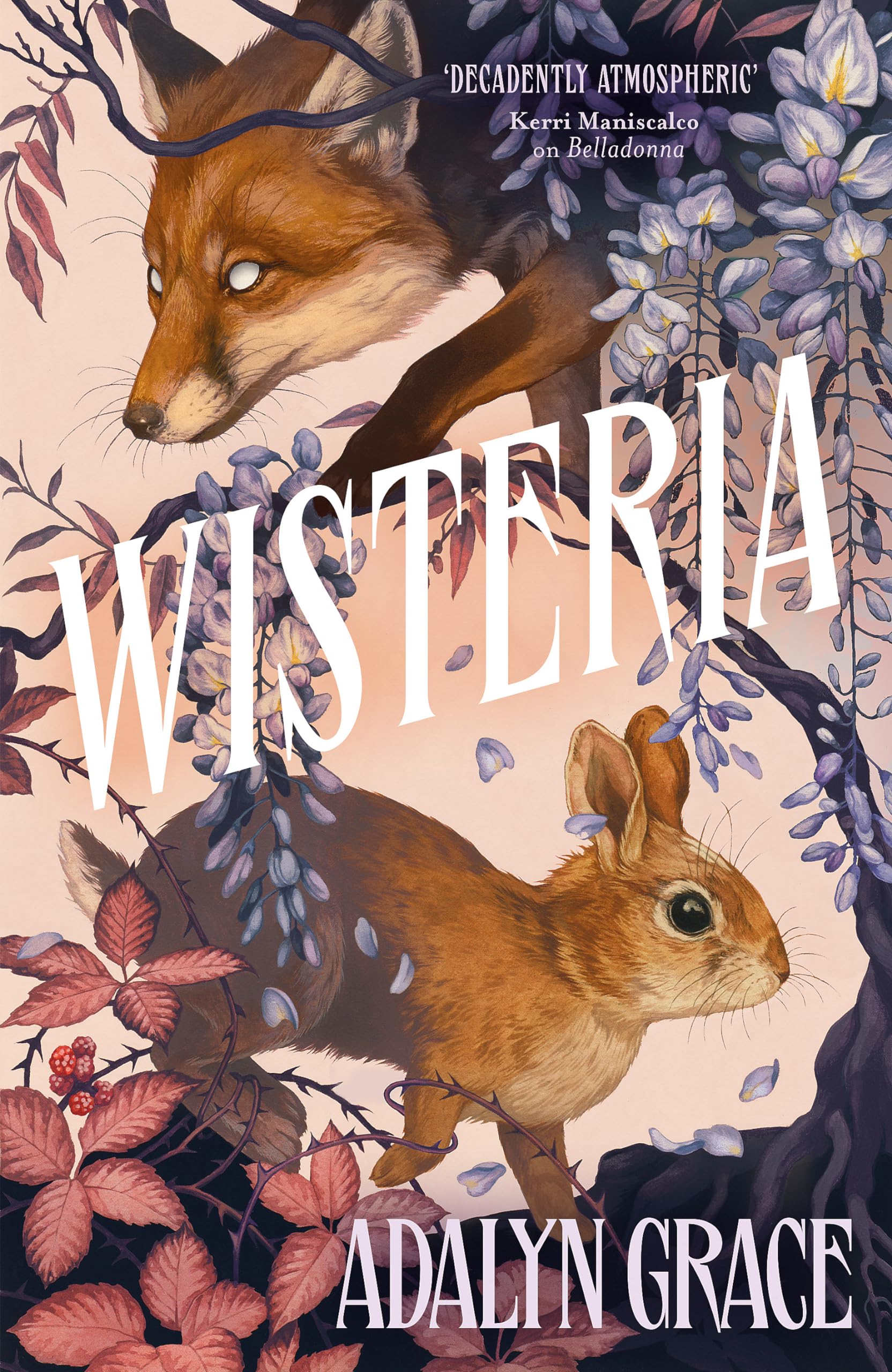 91NW98lsU1L Wisteria by Adalyn Grace - الصورة 1